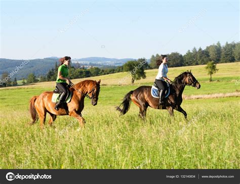 folladas por caballos